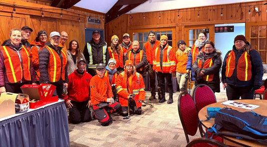 Updates from November Search